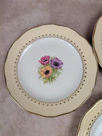 Lot de 10 assiettes à dessert L’amandinoise Coopélia vintage