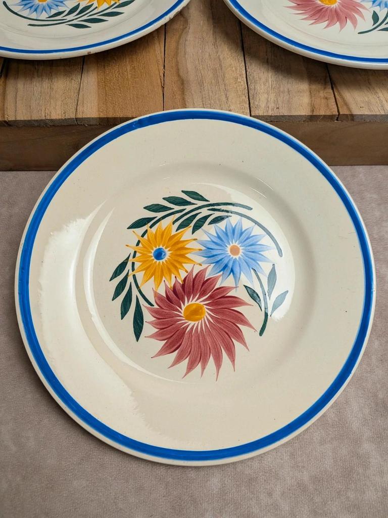 Lot de 6 assiettes en terre de fer Hbc – Modèle Rustique – Décor floral peint à la main