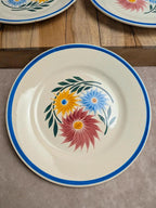 Lot de 6 assiettes en terre de fer Hbc – Modèle Rustique – Décor floral peint à la main
