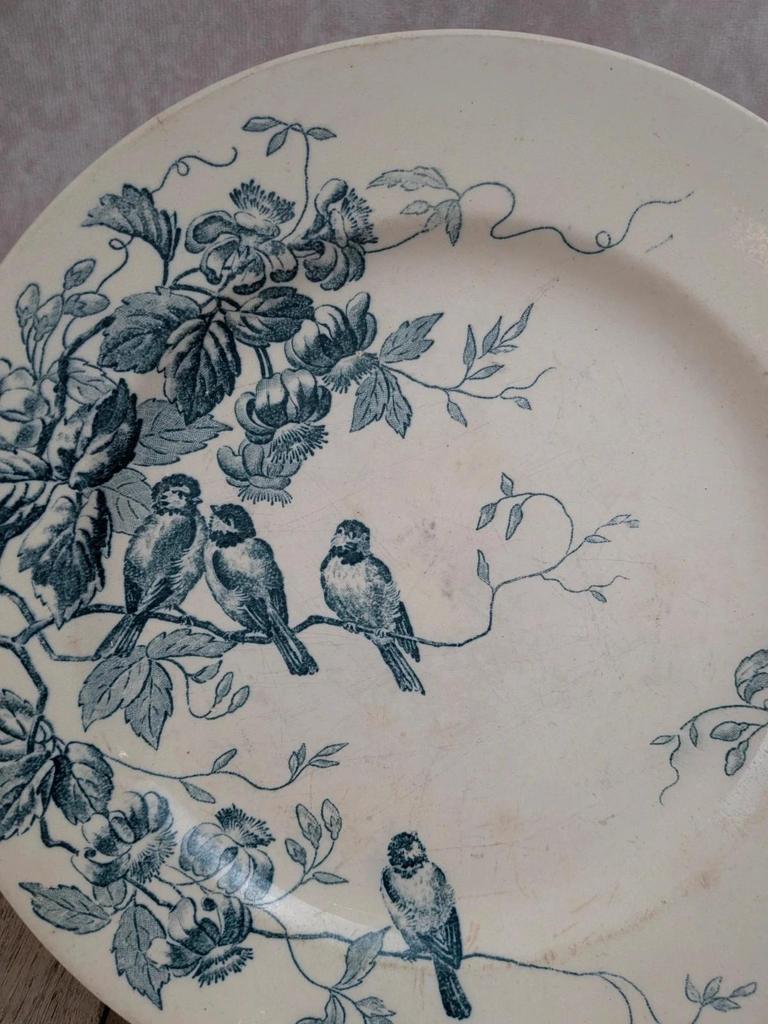 Assiette ancienne Terre de Fer Le Bûcheron Paris – Décor oiseaux bleu
