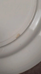 Lot de 6 assiettes plates anciennes Rotterdam décor bleu moulin