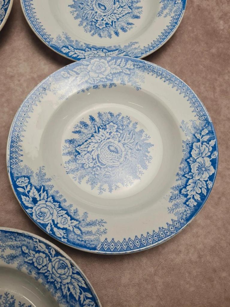 Lot de 9 assiettes creuses anciennes Saint-amand & Hamage modèle Jardinière 🌿