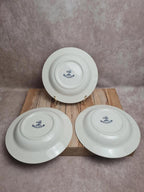 Lot de 3 assiettes creuses Gien modèle Tulipes bleu ancien 🌿💙