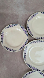 Lot 9 assiettes plates Longchamp Terre de Fer modèle Cannes