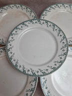 Lot de 6 assiettes plates terre de fer Gien Montigny – décor vert ancien
