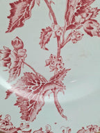 Assiette ancienne Saint-amand modèle Richelieu rouge – charme vintage 🌿