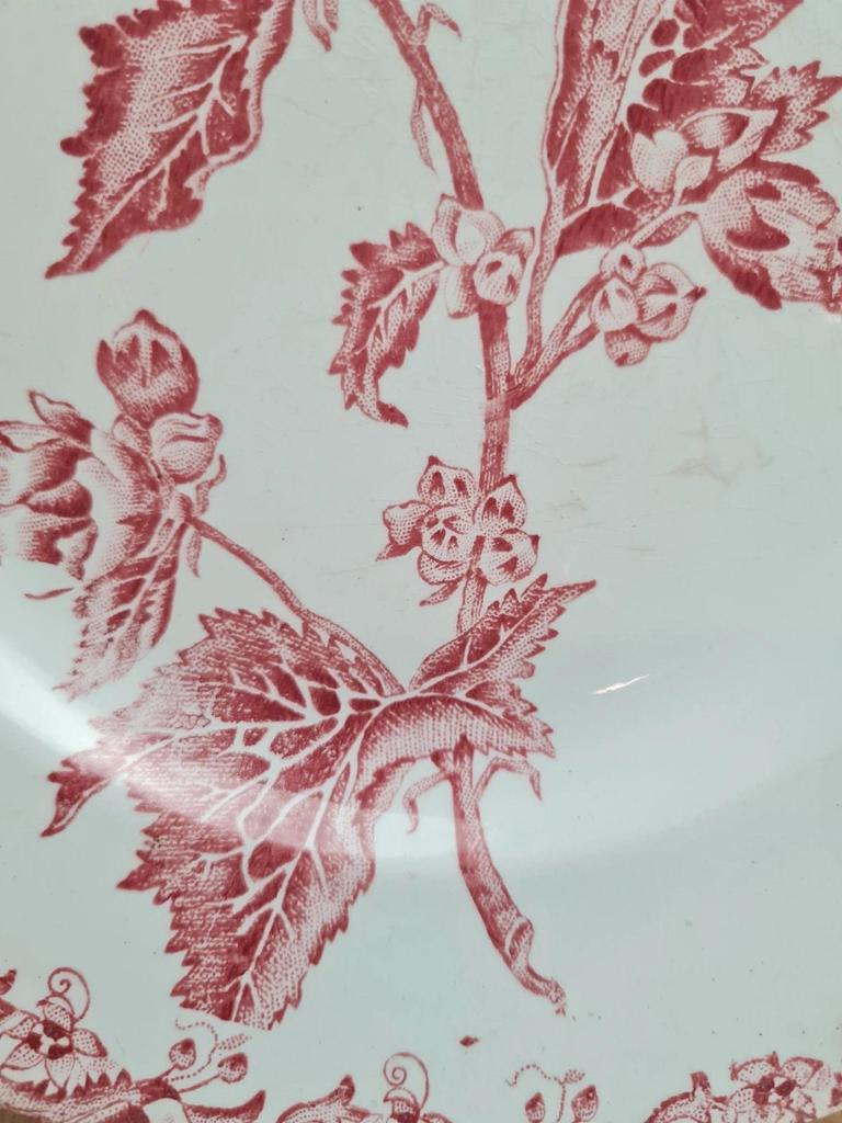 Assiette ancienne Saint-amand modèle Richelieu rouge – charme vintage 🌿