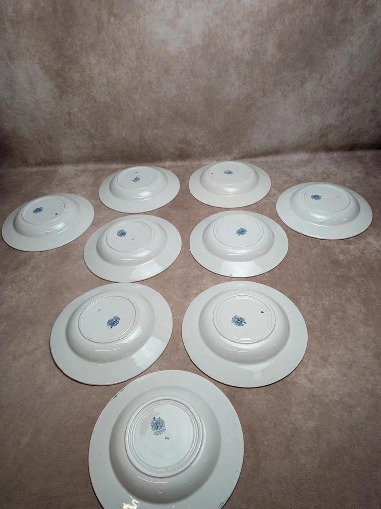 Lot de 9 assiettes creuses Terre de Fer St Amand modèle Andrinople