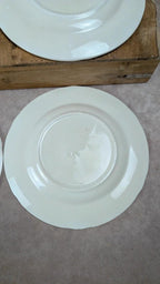 Lot de 6 assiettes à dessert Longwy – Modèle Maurice
