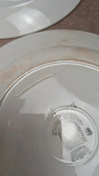 Lot de 14 assiettes plates Saint-amand modèle Marcel