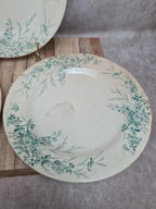 Assiettes Terre de Fer Creil & Montereau Linotte oiseaux vert – lot de 3 anciennes