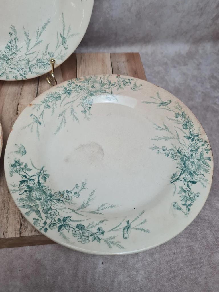 Assiettes Terre de Fer Creil & Montereau Linotte oiseaux vert – lot de 3 anciennes