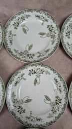 Lot 12 assiettes plates Terre de Fer Saint-amand modèle Modern Style 22 cm