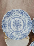 Lot de 6 assiettes plates Arcopal Honorine 💙