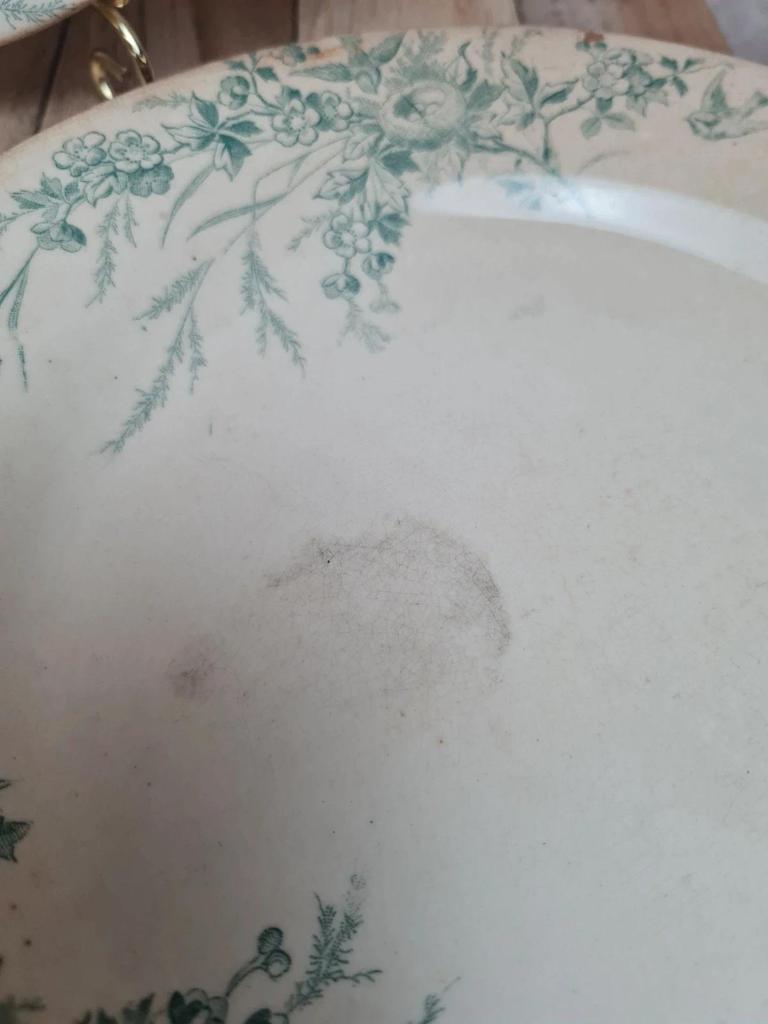 Assiettes Terre de Fer Creil & Montereau Linotte oiseaux vert – lot de 3 anciennes