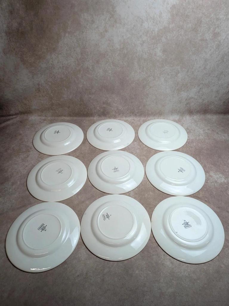 Lot de 9 assiettes plates en terre de fer Digoin Sarreguemines – Modèle Poupette – Vintage