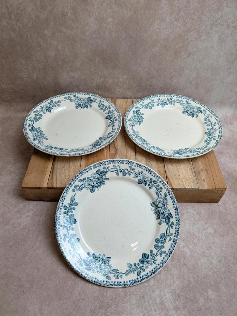 Lot de 3 assiettes plates en terre de fer Debray – Service Guadeloupe