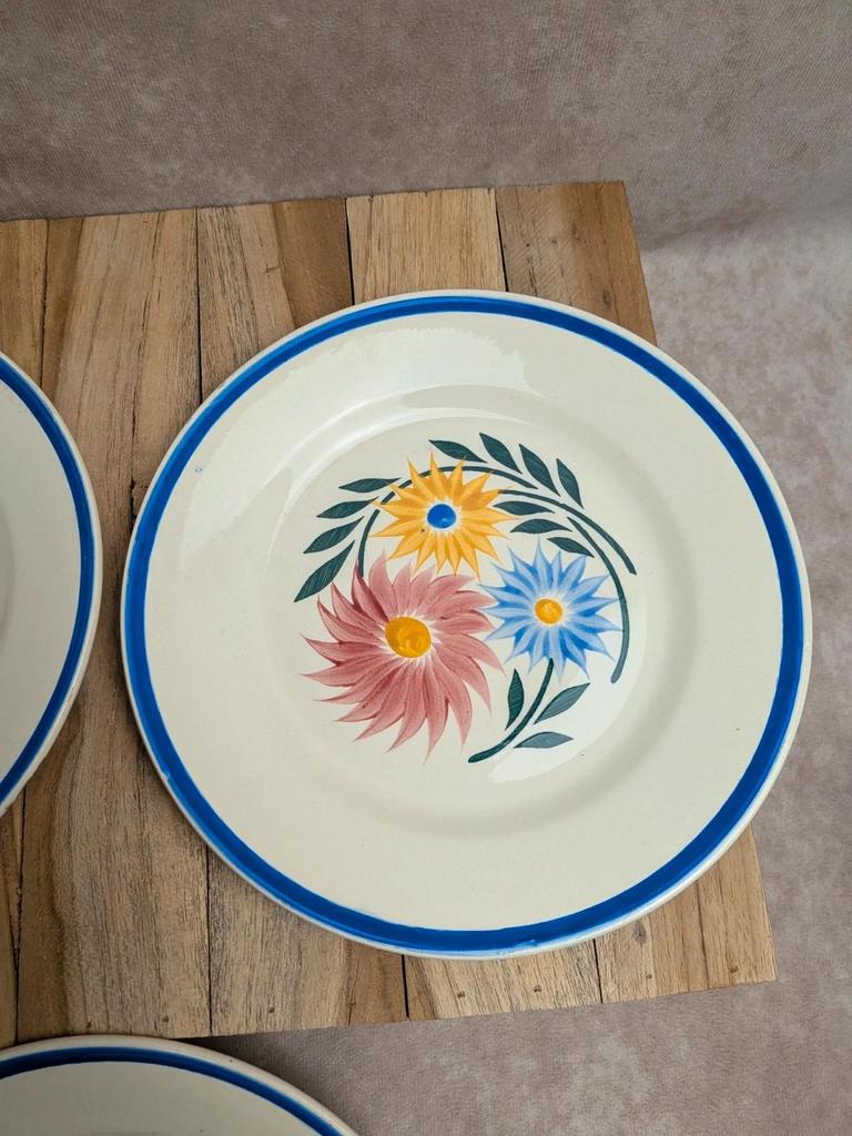 Lot de 6 assiettes en terre de fer Hbc – Modèle Rustique – Décor floral peint à la main