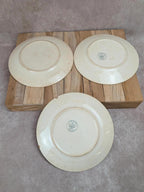 Lot de 3 assiettes plates anciennes en terre de fer des Établissements Debray, service Clichy