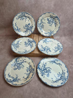 Lot de 6 assiettes terre de fer Clairefontaine – modèle Iris – fin Xixe