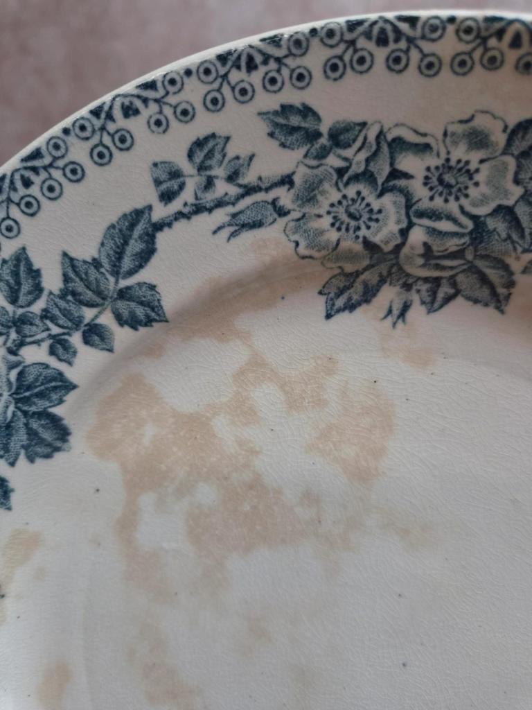 Assiette ancienne Terre de Fer – Service Guadeloupe – Établissements Debray
