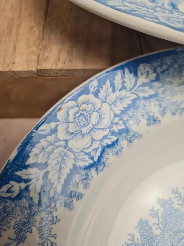Lot de 9 assiettes creuses anciennes Saint-amand & Hamage modèle Jardinière 🌿