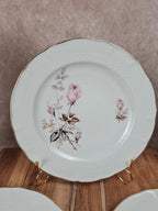 🩷 Lot de 6 assiettes en porcelaine Tognana – motif roses anciennes & liseré doré 🇮🇹
