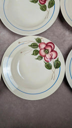 Lot de 9 assiettes creuses Sarreguemines modèle Liliane