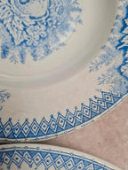 Lot de 9 assiettes creuses anciennes Saint-amand & Hamage modèle Jardinière 🌿