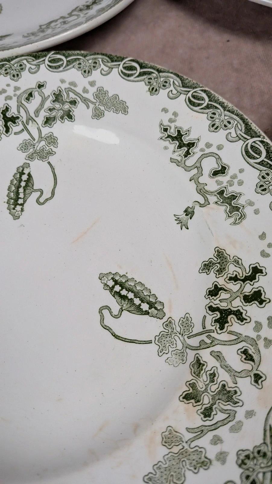 Lot 12 assiettes plates Terre de Fer Saint-amand modèle Modern Style 22 cm