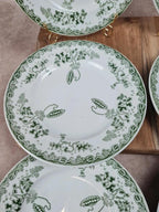 Lot de 6 assiettes Saint-amand & Hamage – Modèle Modern-style 🌿