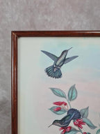 Cadre ancien, Lithographie ornithologique « Metallura Primolinus » J. Gould & H.c. Richter