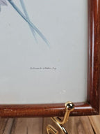 Cadre ancien – Reproduction lithographie Lesbia Gracilis Gould