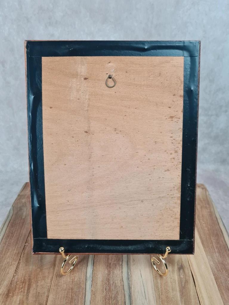 Cadre ancien – Reproduction lithographie Lesbia Gracilis Gould