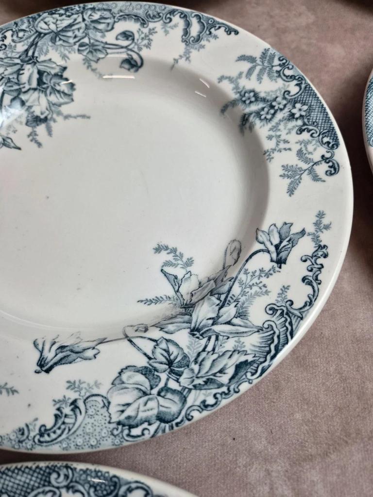Lot de 12 assiettes Terre de Fer Clairefontaine Cyclamens