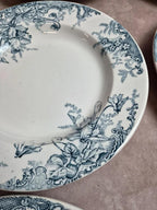 Lot de 12 assiettes Terre de Fer Clairefontaine Cyclamens
