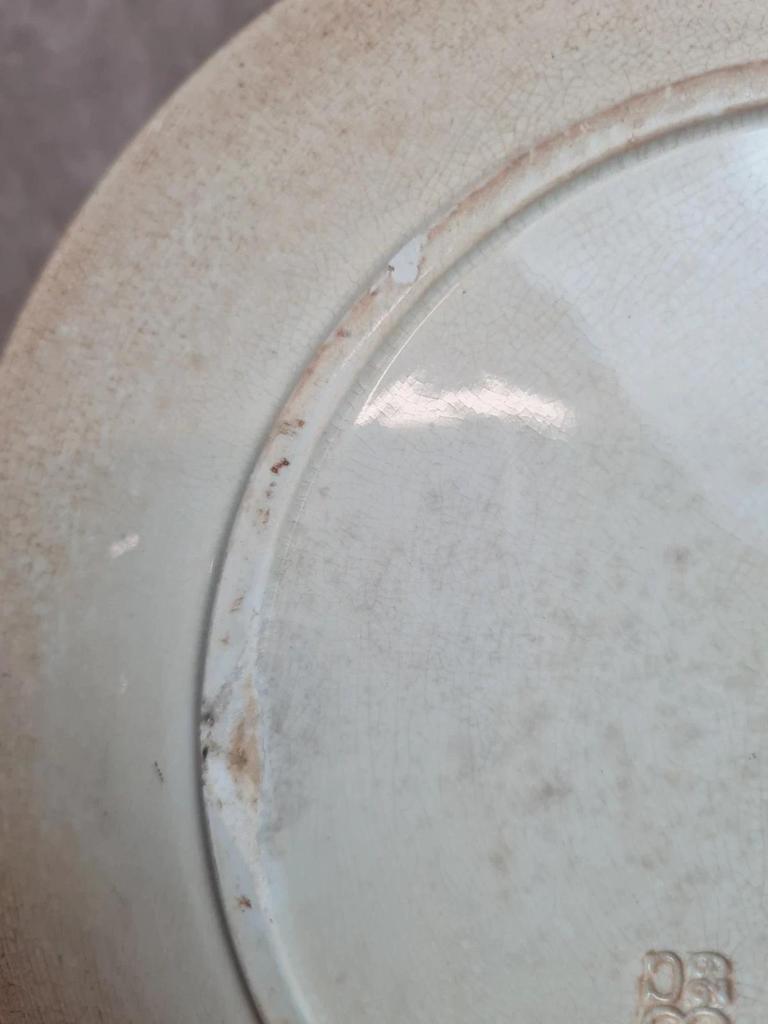 Assiette ancienne Terre de Fer Sarreguemines modèle Carmen Xixe 🌿🦋