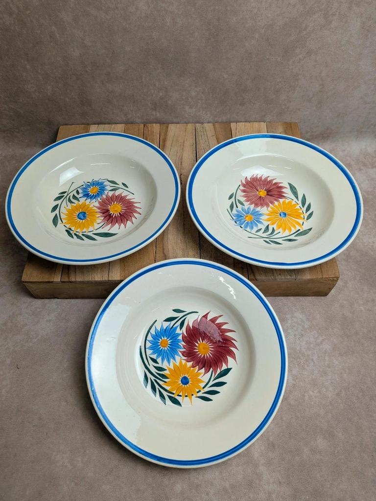 Lot de 6 assiettes en terre de fer Hbc – Modèle Rustique – Décor floral peint à la main