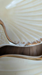 Présentoir coquillage vintage Siloa Paris + 2 coquilles
