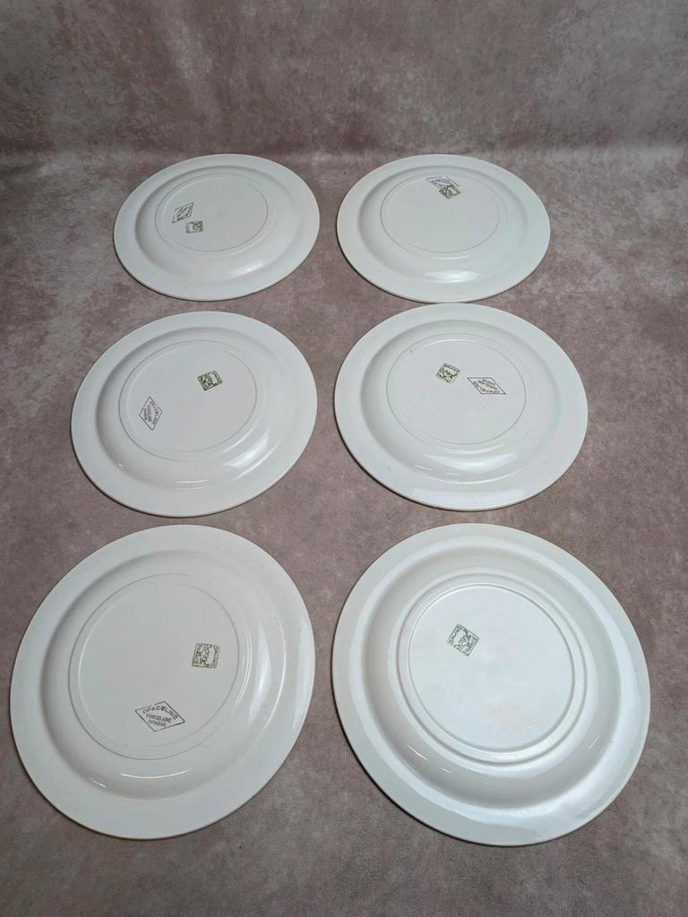 Lot de 6 assiettes plates Opaceline Salins vintage