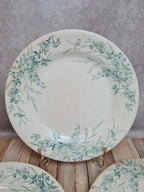 Assiettes Terre de Fer Creil & Montereau Linotte oiseaux vert – lot de 3 anciennes