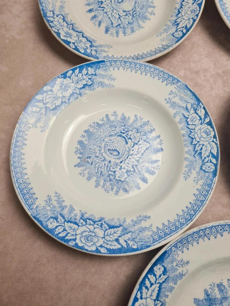 Lot de 9 assiettes creuses anciennes Saint-amand & Hamage modèle Jardinière 🌿