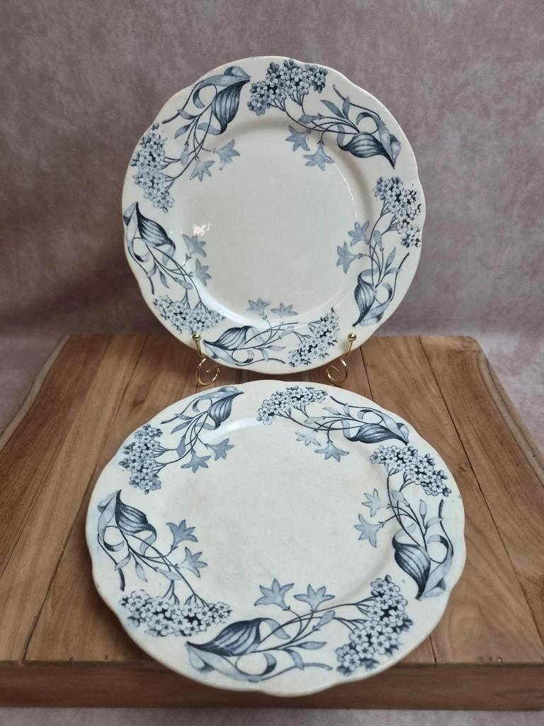 Lot de 2 assiettes terre de fer Longchamp modèle Lila Art nouveau 22 cm