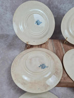 Lot de 6 assiettes plates anciennes – Vieillard & Cie Bordeaux, modèle Clématite 💙 Terre de Fer