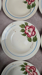 Lot de 9 assiettes creuses Sarreguemines modèle Liliane