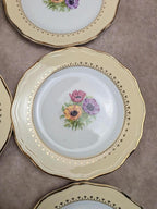 Lot de 10 assiettes à dessert L’amandinoise Coopélia vintage