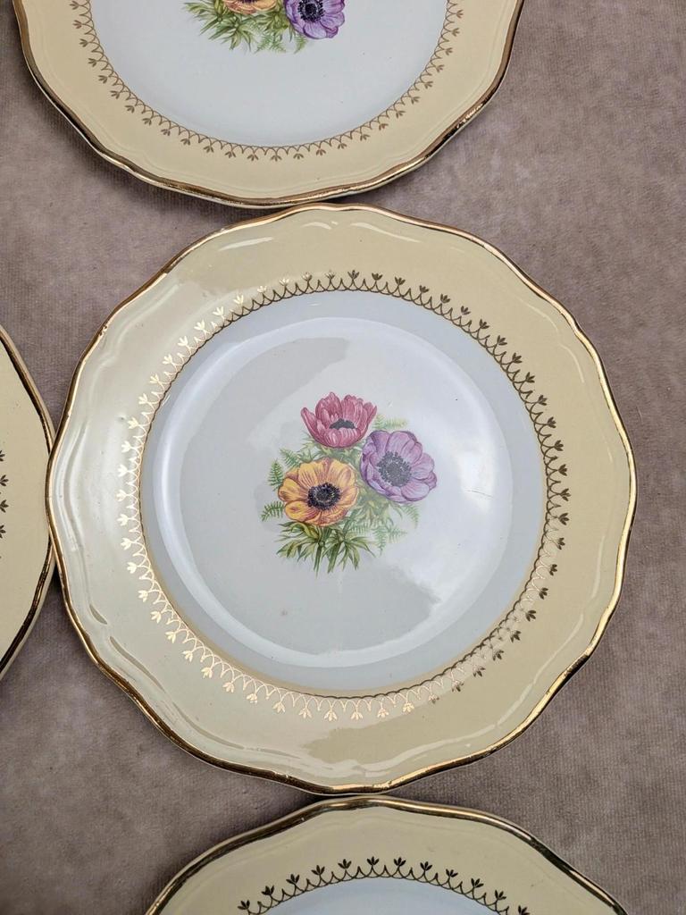 Lot de 10 assiettes à dessert L’amandinoise Coopélia vintage