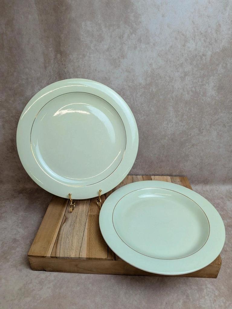 Lot de 2 plats ronds Opaceline Salins liseré doré vintage