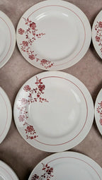 Lot de 14 assiettes plates Saint-amand modèle Marcel