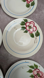 Lot de 9 assiettes creuses Sarreguemines modèle Liliane